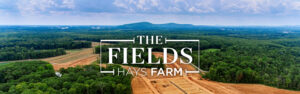 Hays Farm The Fields